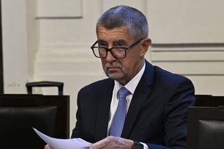 Rozsudek k Čapímu hnízdu může být ještě před volbami - Novinky